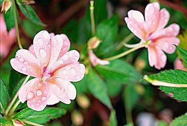 《地平线：西之绝境》多人游戏版早期开发视频泄露